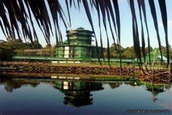 Ariau Amazon Towers