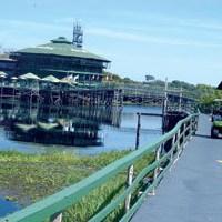 Lodge Ariau Amazon Towers *