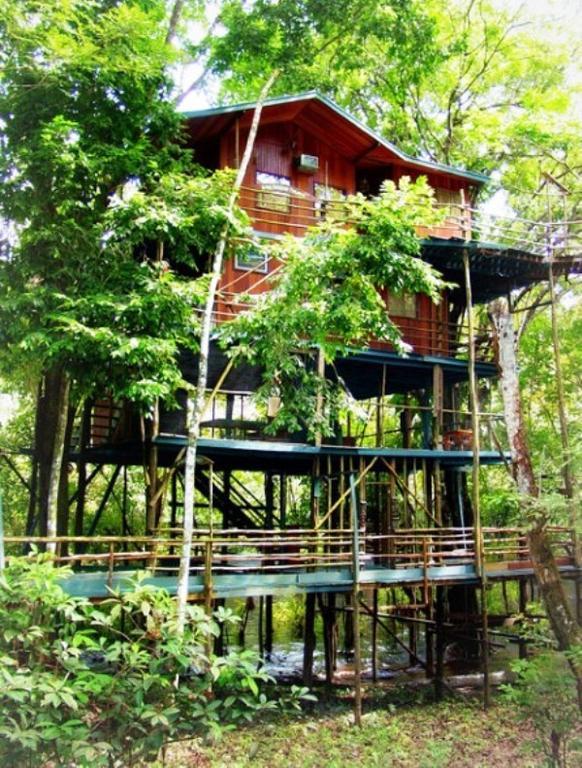 Ariau Amazon Towers Lodge Manaus